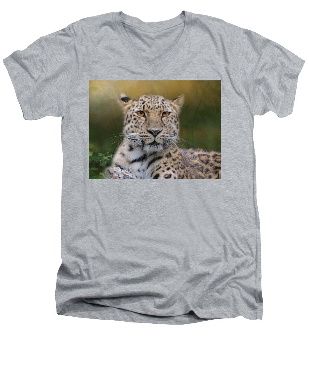 Leopard Men's V-Neck T-Shirt featuring the photograph Amur Leopard by Patti Deters