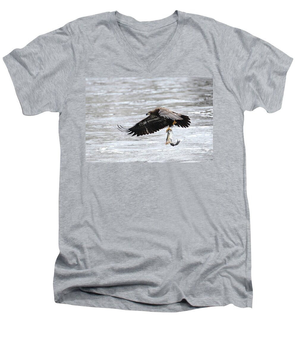 Bald Eagle Men's V-Neck T-Shirt featuring the photograph An Eagles Catch 10 by Brook Burling