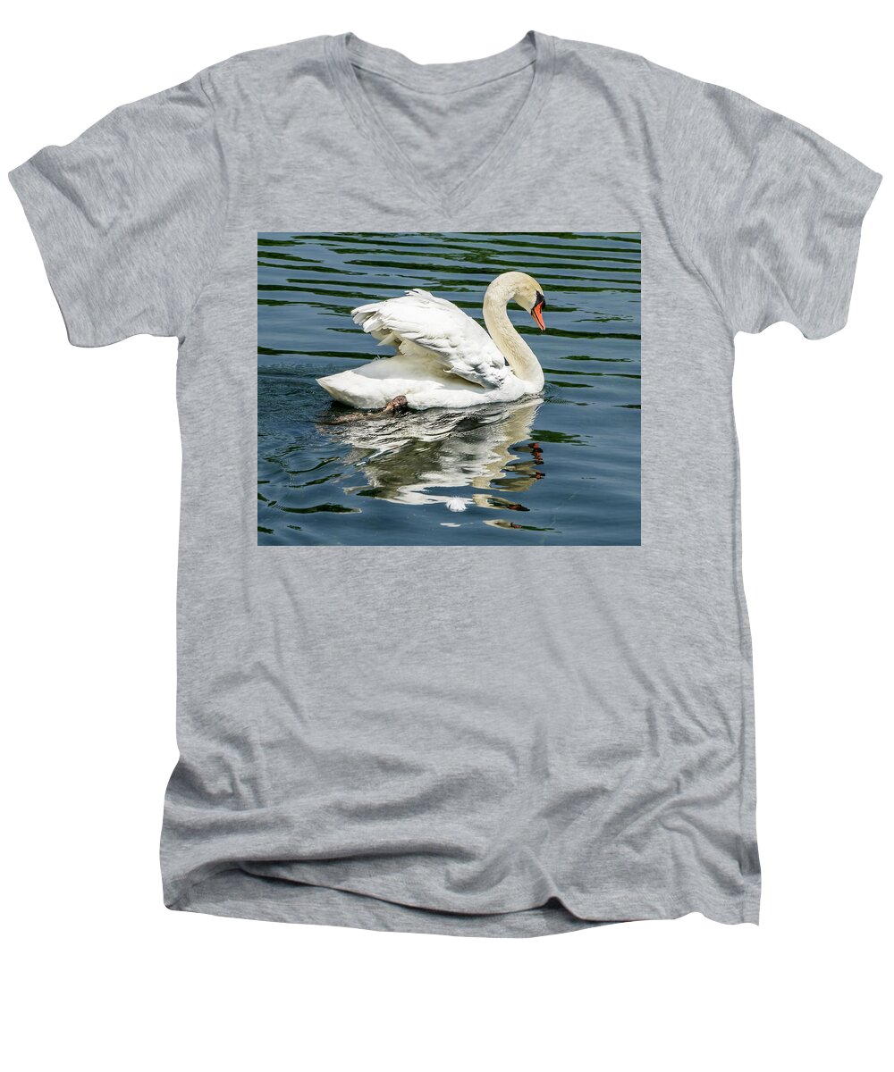 Cathy Donohoue Photography. Wildlife Photography Men's V-Neck T-Shirt featuring the photograph Angel's Wings by Cathy Donohoue