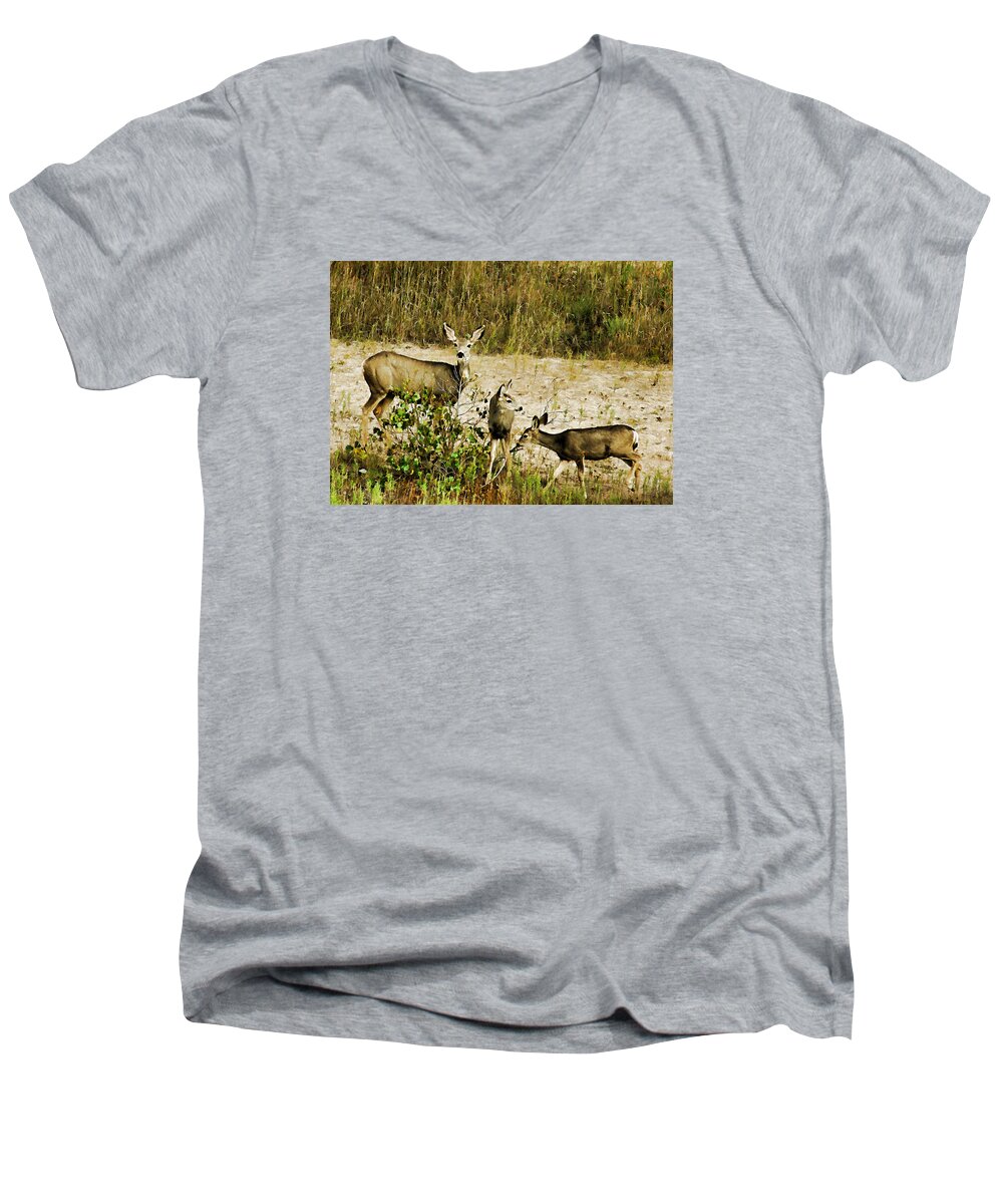 Bill Kesler Photography Men's V-Neck T-Shirt featuring the photograph Mule Doe and her Twins by Bill Kesler