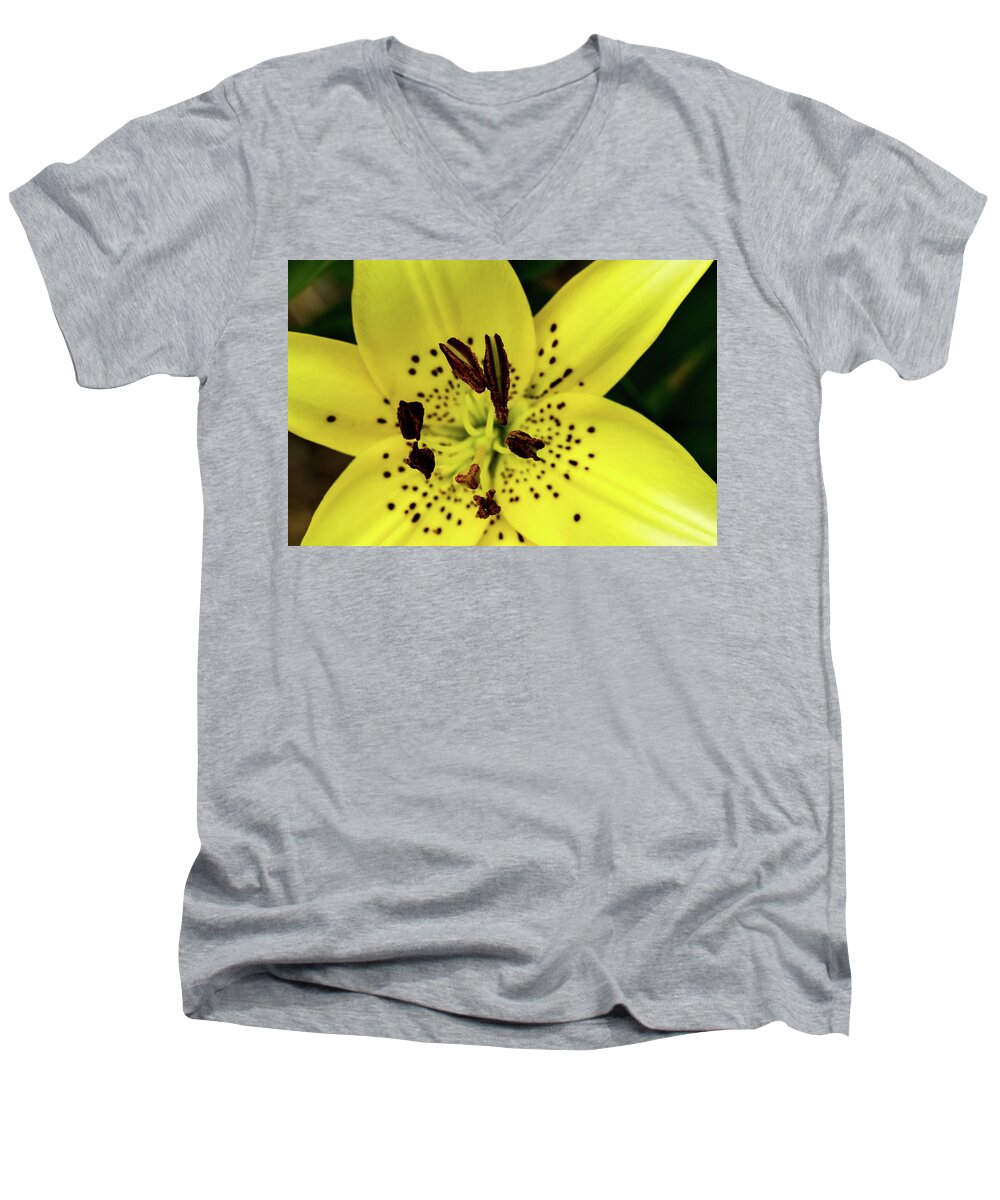 Jay Stockhaus Men's V-Neck T-Shirt featuring the photograph Asiatic Lily by Jay Stockhaus