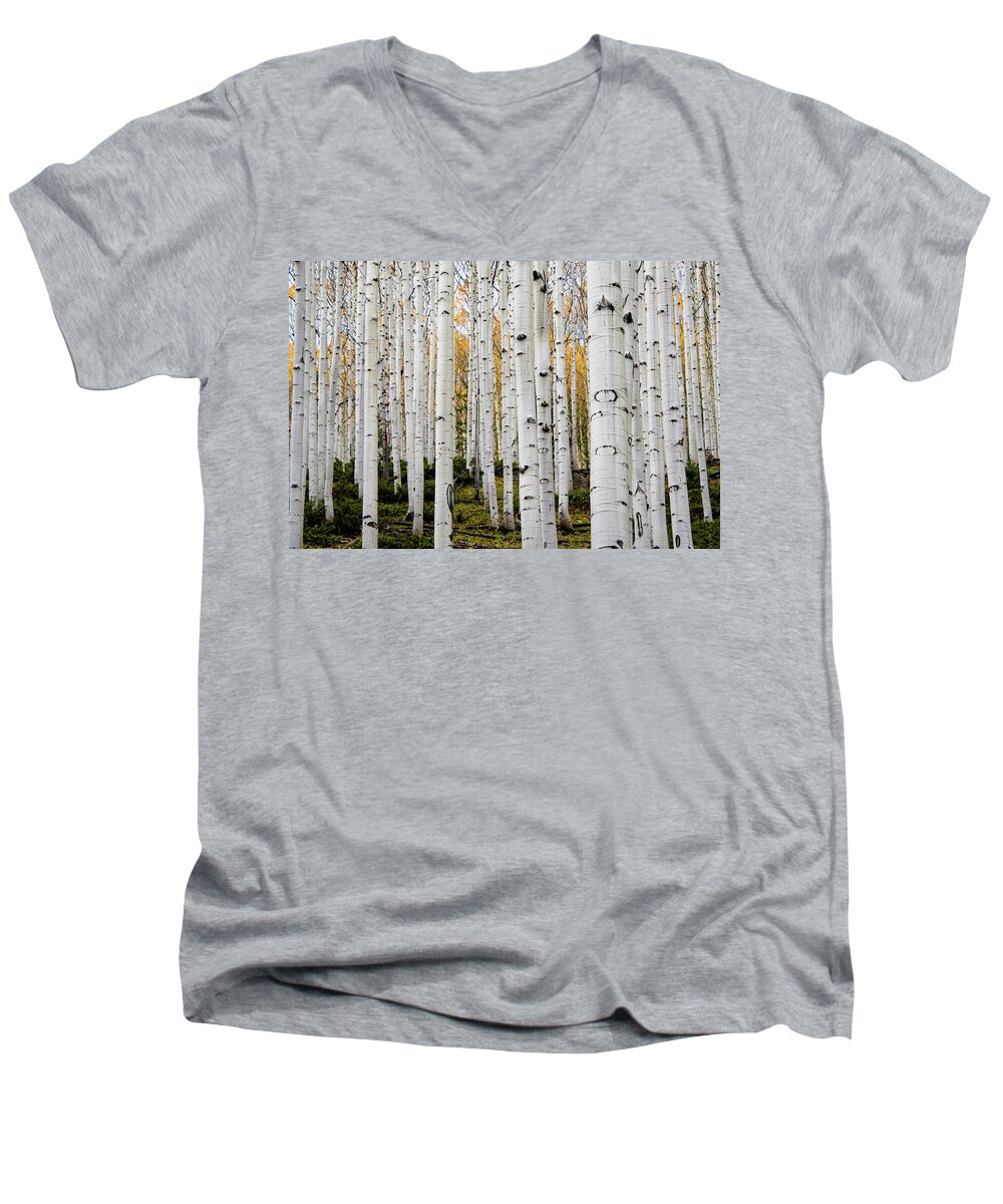Aspen Men's V-Neck T-Shirt featuring the photograph Aspens And Gold by Stephen Holst