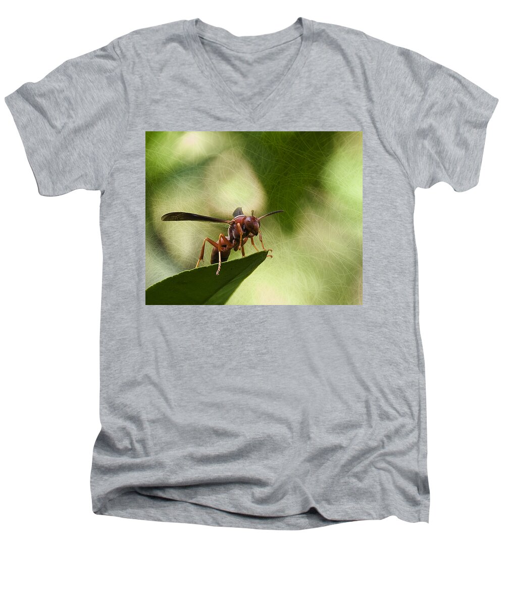 Wasp Men's V-Neck T-Shirt featuring the photograph Attack Mode by Steven Richardson