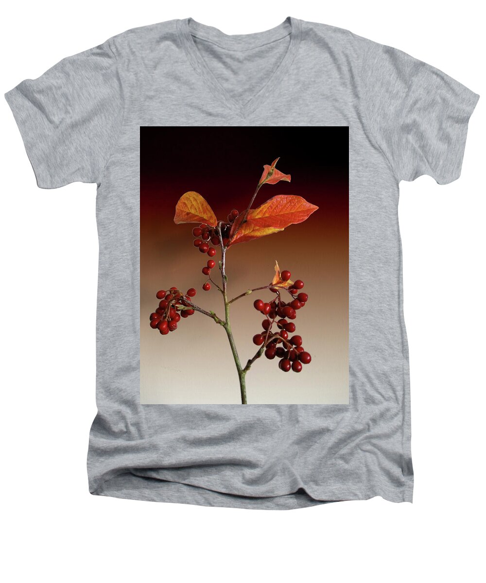 Leafs Men's V-Neck T-Shirt featuring the photograph Autumn leafs and red berries by David French