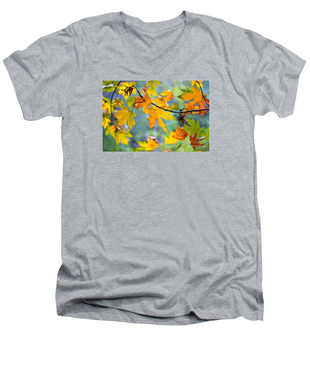 Autumn Leaves Men's V-Neck T-Shirt featuring the photograph Autumn Leaves by Mimi Ditchie