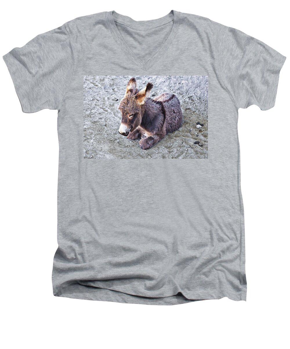 Baby Burro Men's V-Neck T-Shirt featuring the photograph Baby burro by Tatiana Travelways