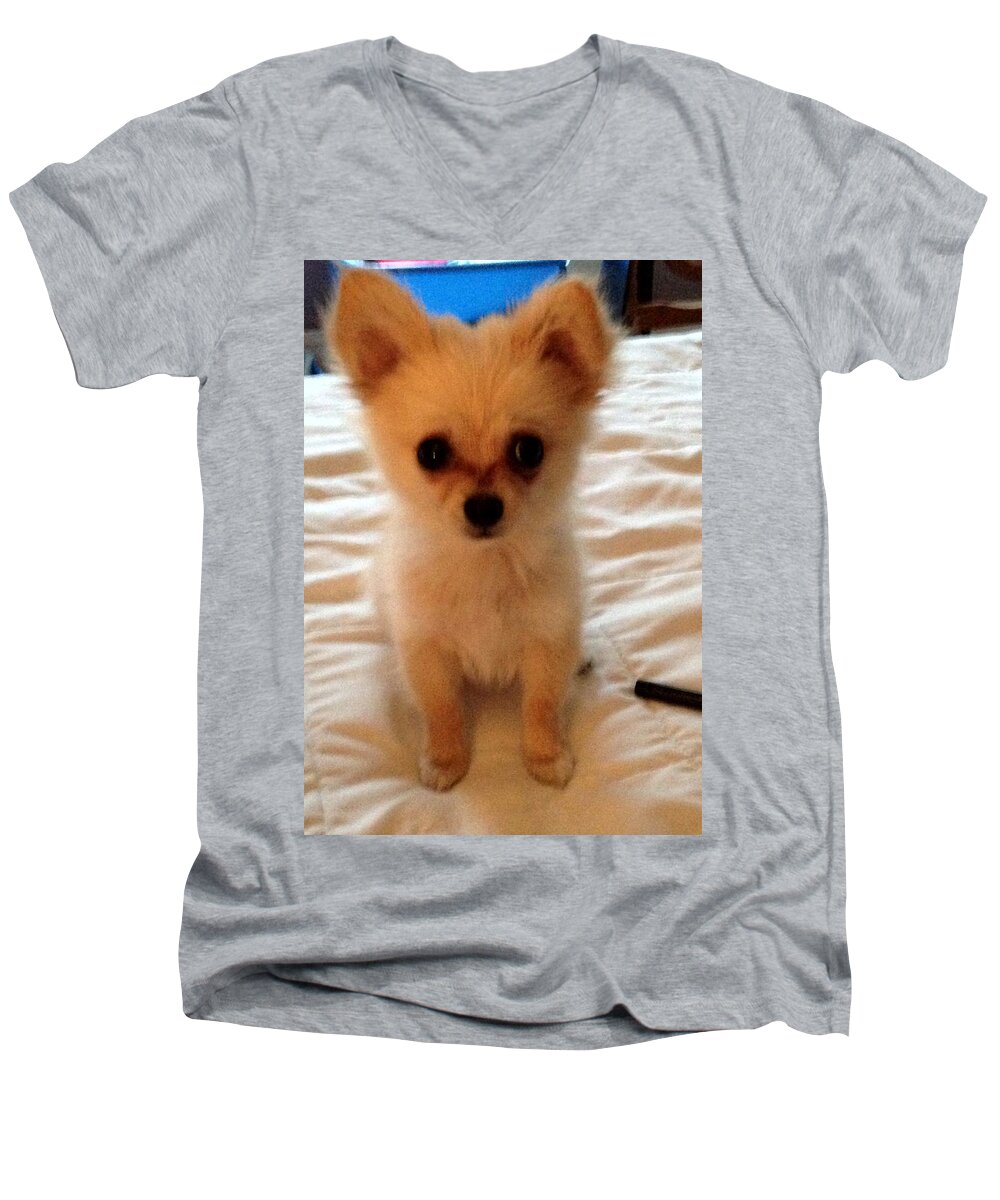 Pomeranian Men's V-Neck T-Shirt featuring the photograph Baby Piddles by Donna Andrews