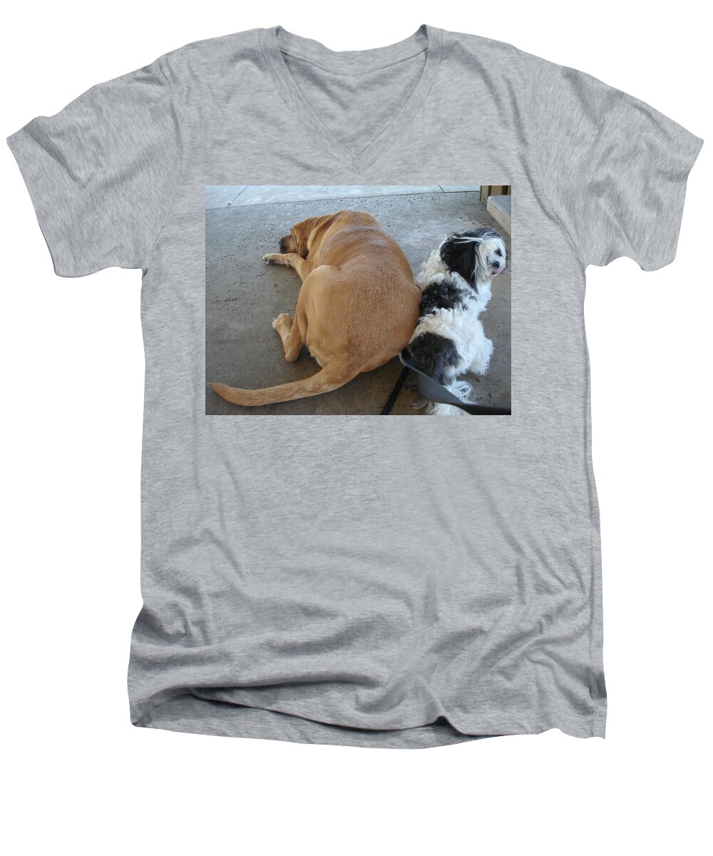 Bloodhound Men's V-Neck T-Shirt featuring the photograph Back to Back by Val Oconnor