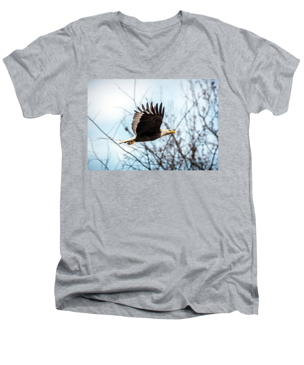 Usa Men's V-Neck T-Shirt featuring the photograph Bald Eagle Flight by Patrick Wolf