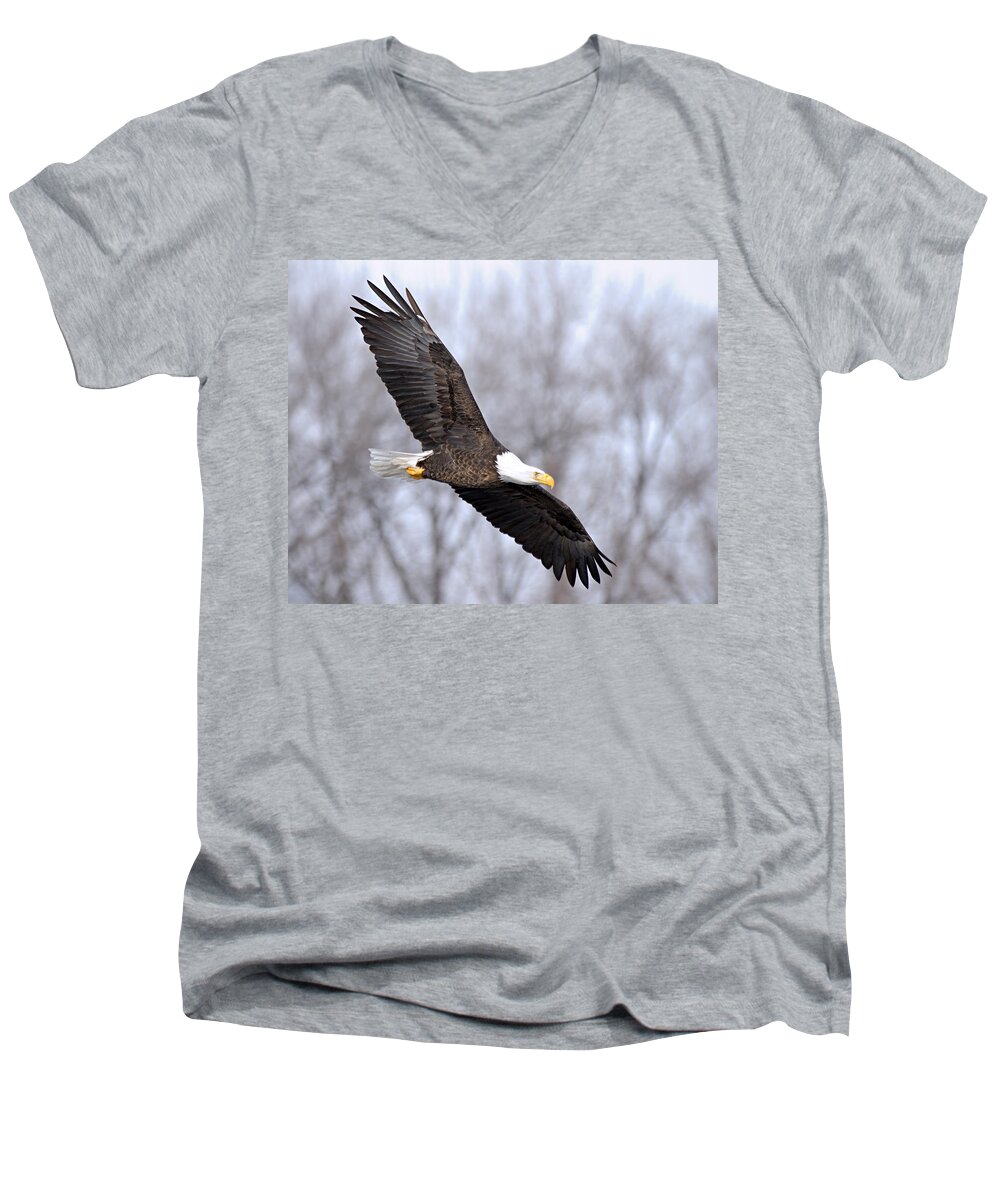 American Bald Eagle Men's V-Neck T-Shirt featuring the photograph Bald Eagle in Flight by Larry Ricker