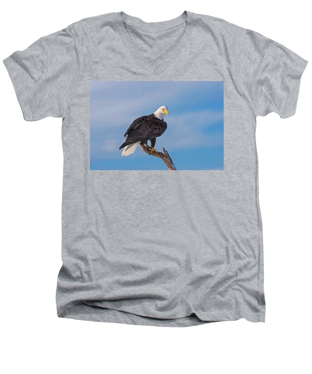 Bald Eagle Men's V-Neck T-Shirt featuring the photograph Bald Eagle Majesty by Mark Miller