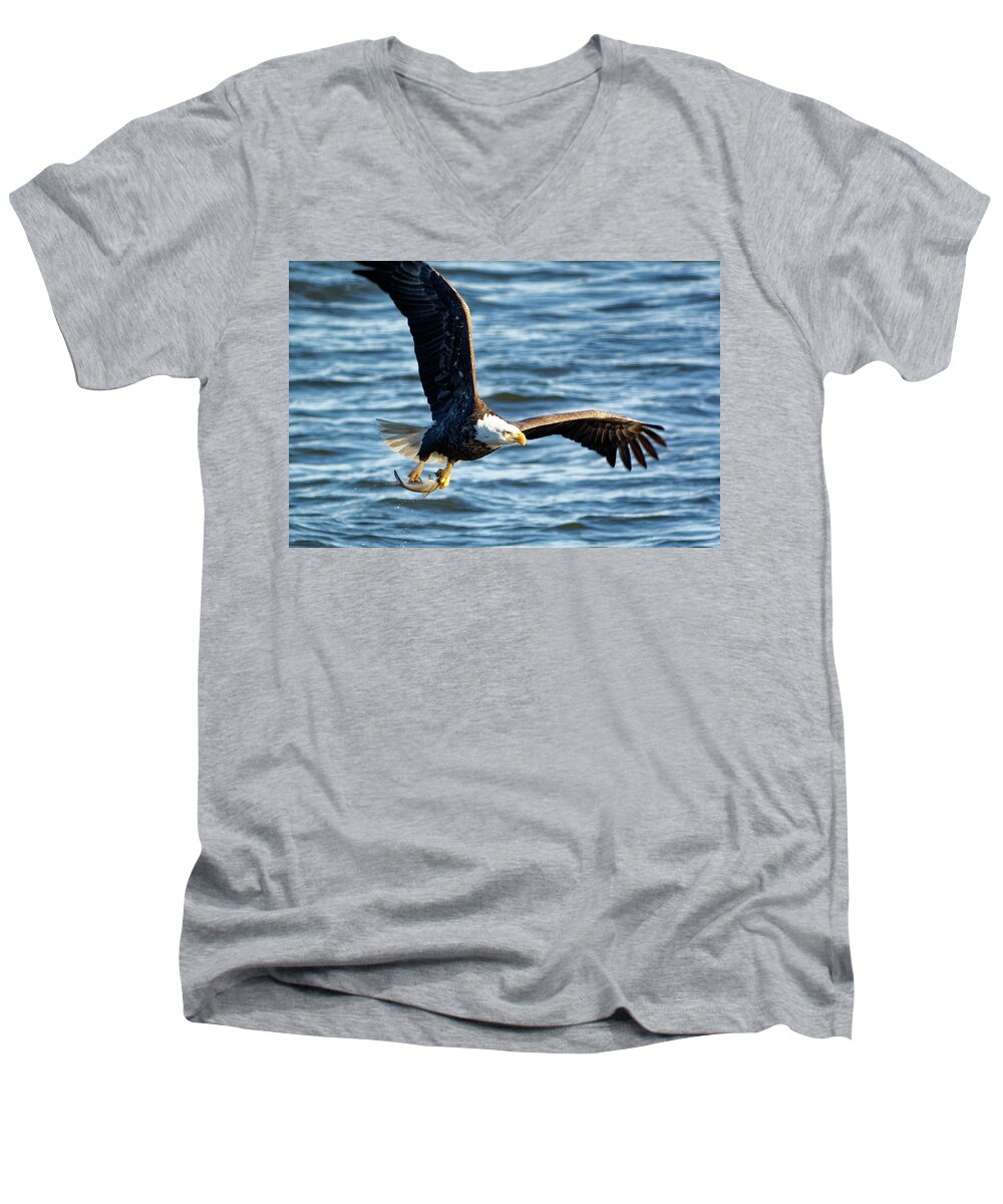 Bald Eagle Men's V-Neck T-Shirt featuring the photograph Bald eagle with fish by Peter Ponzio