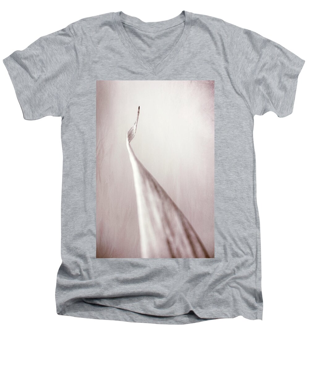Chinese Men's V-Neck T-Shirt featuring the photograph Bamboo Leaf by Robert FERD Frank