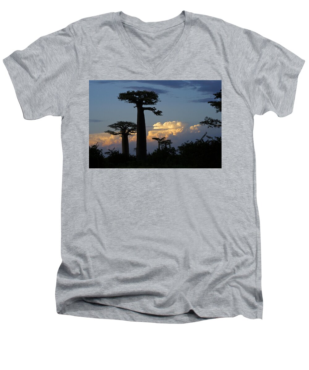 Madagascar Men's V-Neck T-Shirt featuring the photograph Baobabs and Storm Clouds by Michele Burgess
