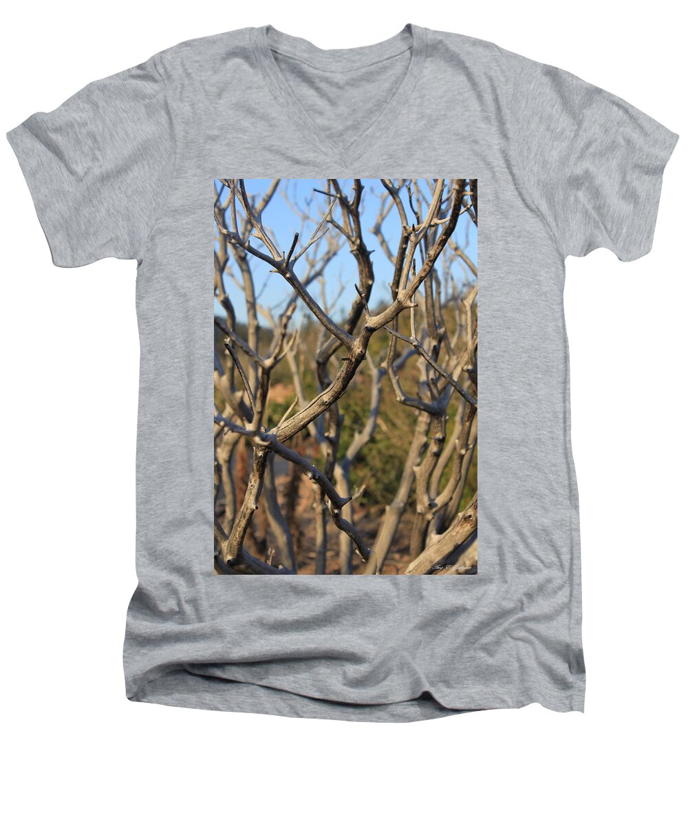 Branches Men's V-Neck T-Shirt featuring the photograph Bare the Beauty by Amy Gallagher