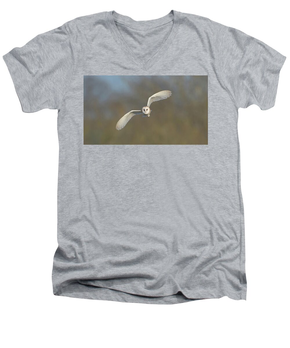 Barn Owl Men's V-Neck T-Shirt featuring the photograph Barn Owl Hunting In Worcestershire by Pete Walkden