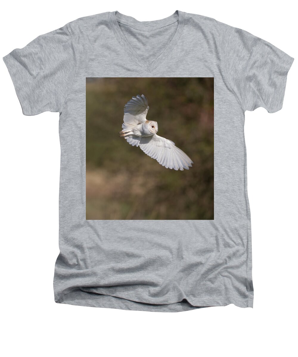 Barn Owl Men's V-Neck T-Shirt featuring the photograph Barn Owl Wings by Pete Walkden