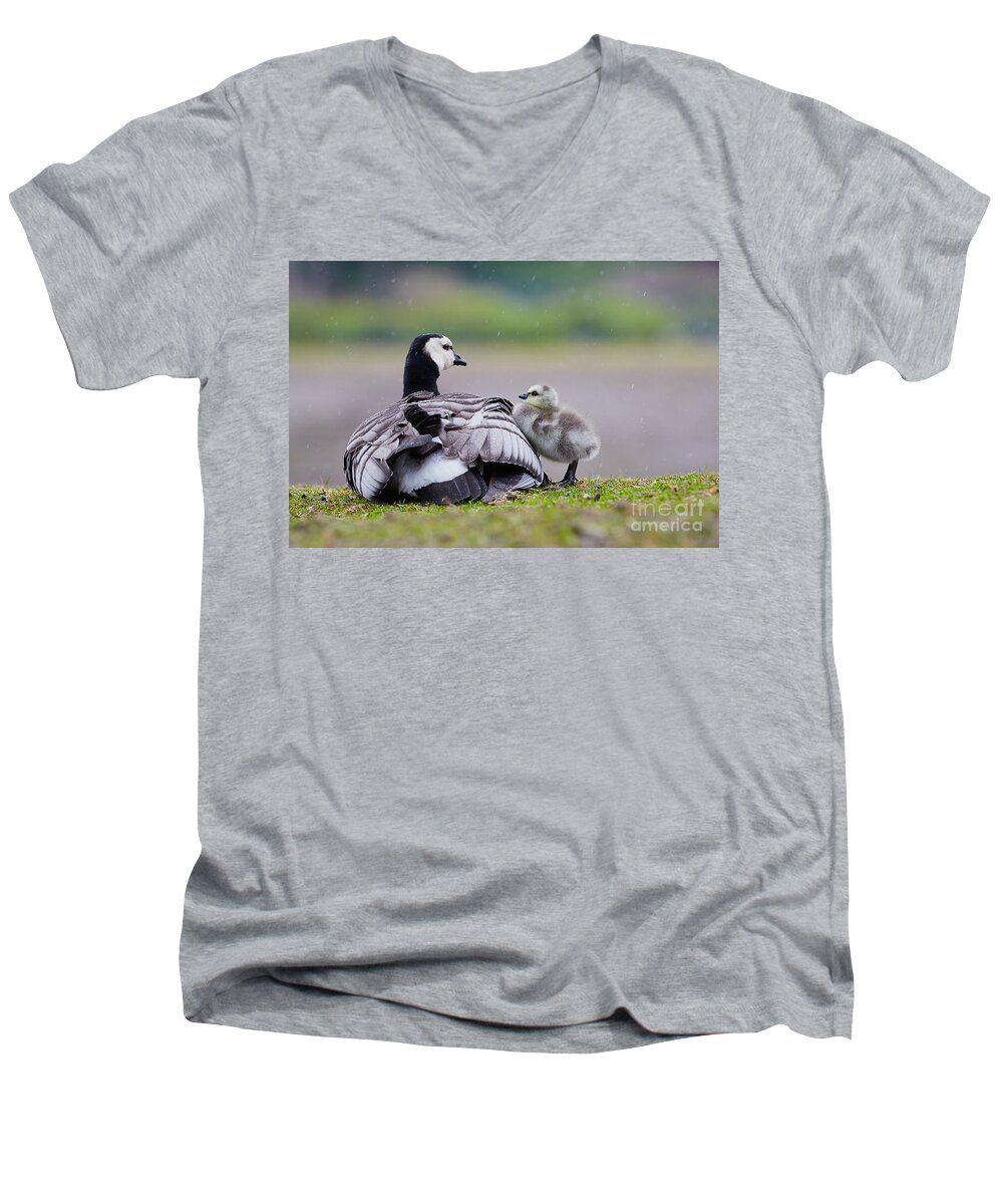 Barnacle Goose Men's V-Neck T-Shirt featuring the photograph Barnacle Goose with chick in the rain by Nick Biemans