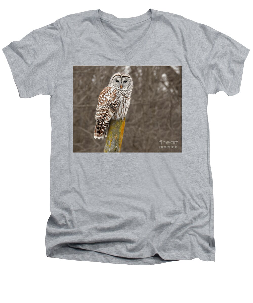 Barred Owl Men's V-Neck T-Shirt featuring the photograph Barred Owl by Kathy M Krause