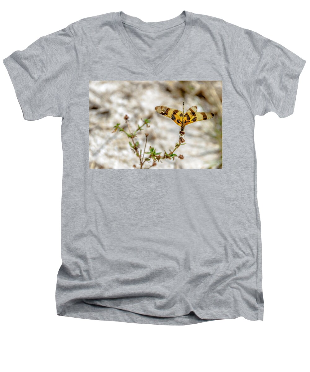 Dragonfly Men's V-Neck T-Shirt featuring the photograph Beautiful Dragonfly by Wolfgang Stocker