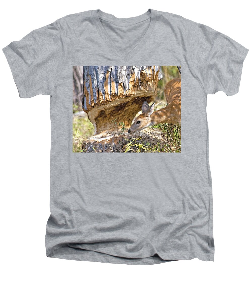 Deer Men's V-Neck T-Shirt featuring the photograph Beaver Wannabe by Gary Beeler