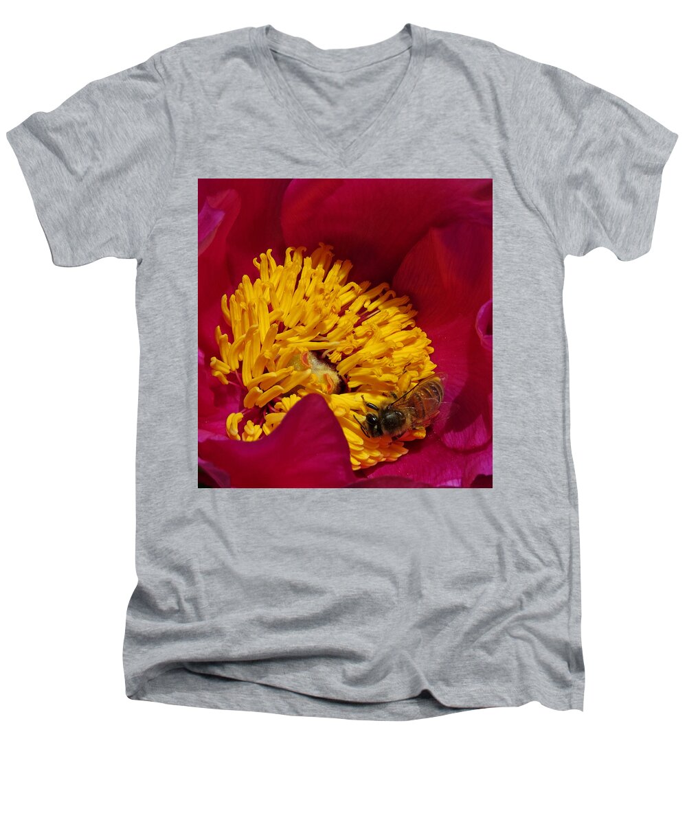 Bee Men's V-Neck T-Shirt featuring the photograph Bee on a Burgundy and Yellow Flower2 by John Topman