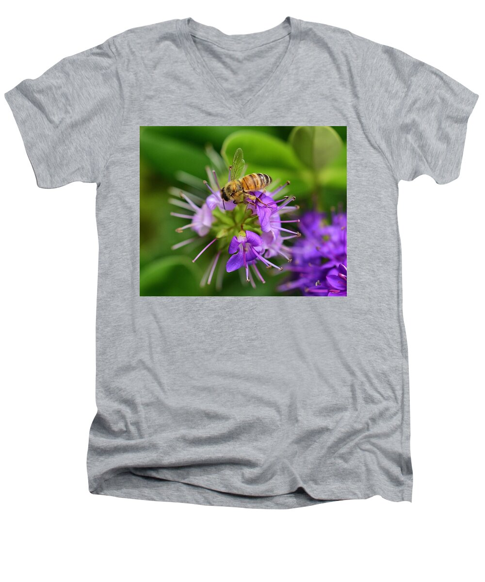 Linda Brody Men's V-Neck T-Shirt featuring the photograph Bee on Hebe Inspiration 5 by Linda Brody
