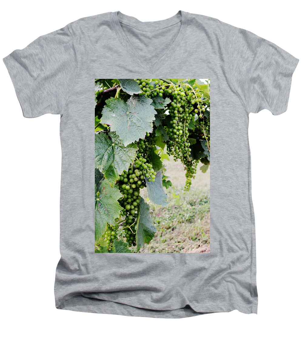 Grapes Men's V-Neck T-Shirt featuring the photograph Before the Harvest by La Dolce Vita