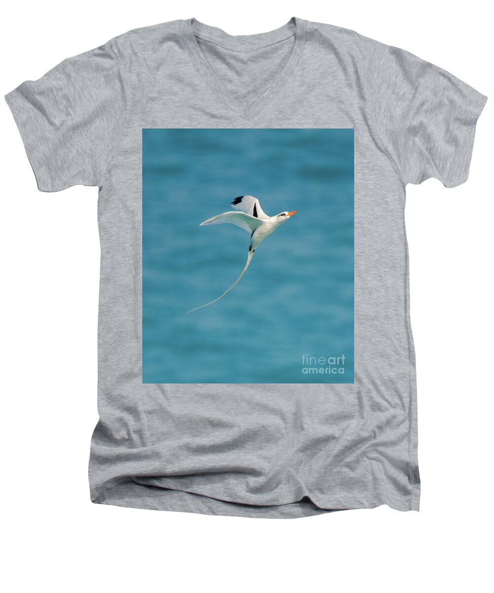 Atlantic Men's V-Neck T-Shirt featuring the photograph Bermuda Longtail S Curve by Jeff at JSJ Photography
