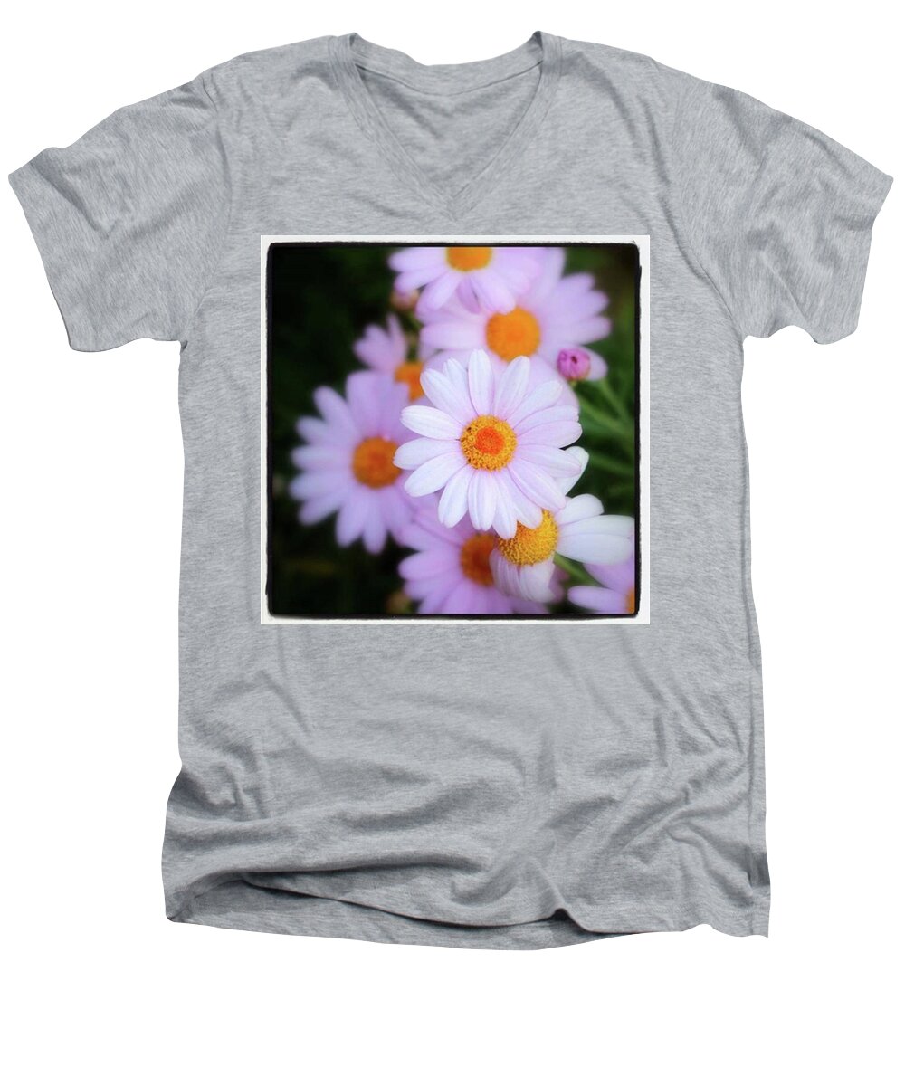  Men's V-Neck T-Shirt featuring the photograph Best Wishes In This Time Of Loss by Mr Photojimsf