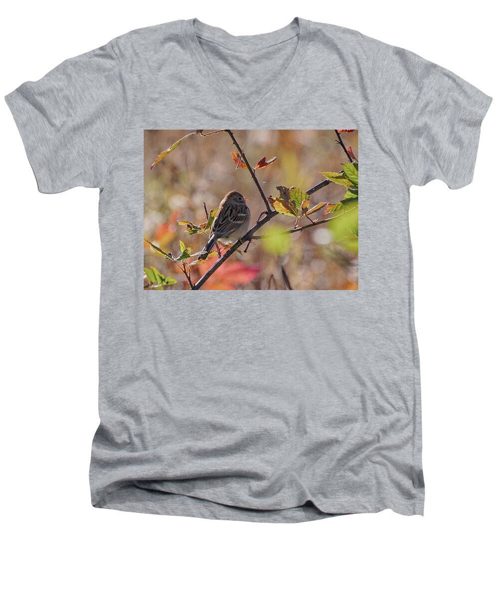 Birds Men's V-Neck T-Shirt featuring the photograph Bird in Tree by Paul Ross