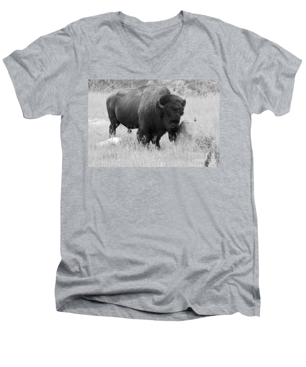 Animal Men's V-Neck T-Shirt featuring the photograph Bison and Buffalo by Mary Mikawoz