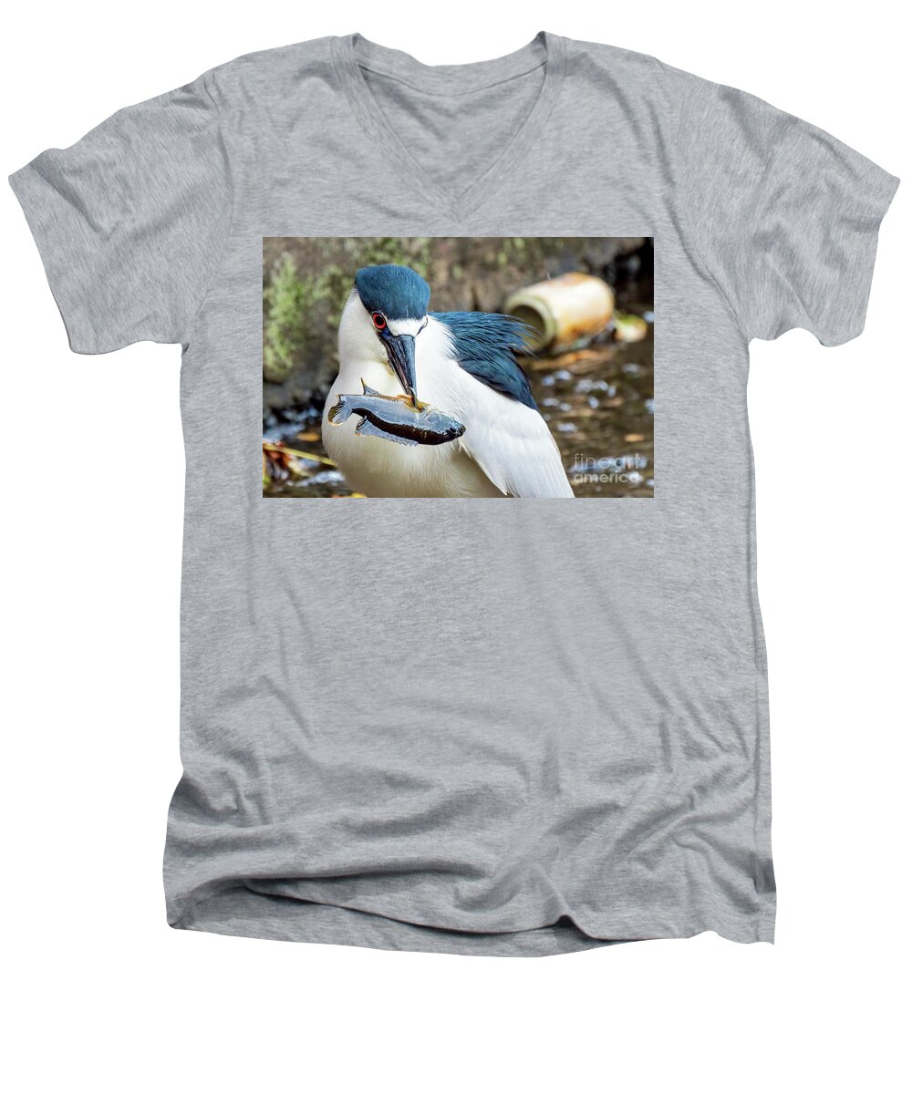 Heron Men's V-Neck T-Shirt featuring the photograph Black crowned night heron enjoying a fish by Sam Rino