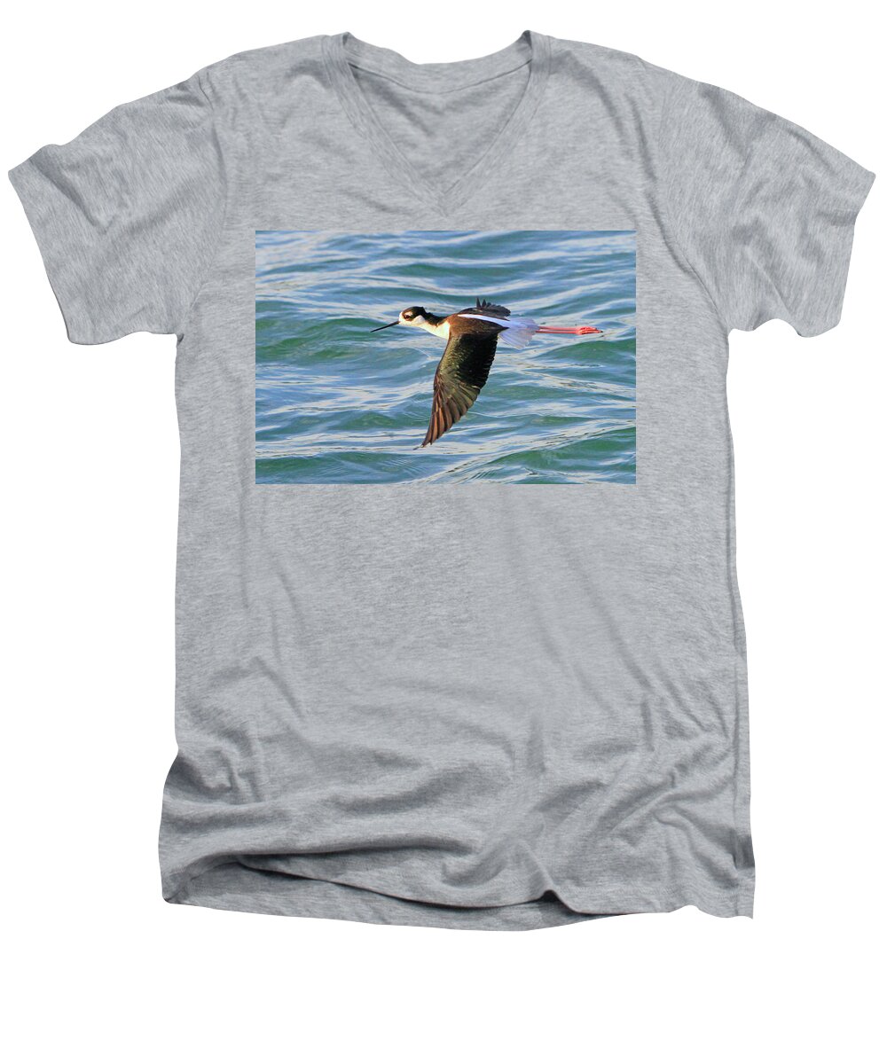 Bird Men's V-Neck T-Shirt featuring the photograph Black-necked Stilt 6 by Shoal Hollingsworth