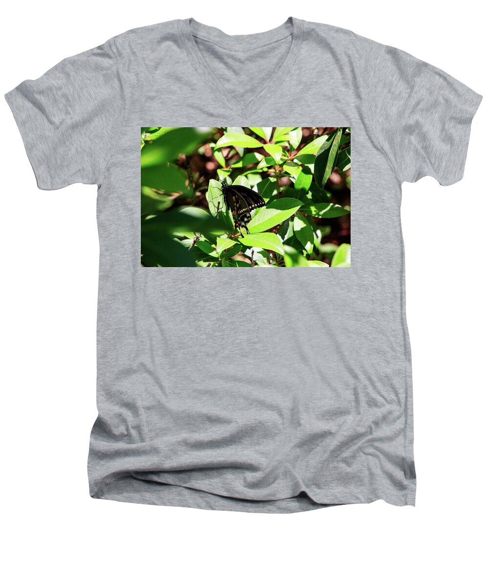 Butterfly Men's V-Neck T-Shirt featuring the photograph Black Swallowtail Butterfly by Natural Vista Photography - Matt Sexton