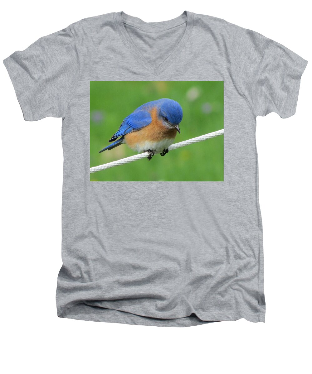 Blue Bird On Clothes Line Men's V-Neck T-Shirt featuring the painting Blue Bird on Clothesline by Betty Pieper