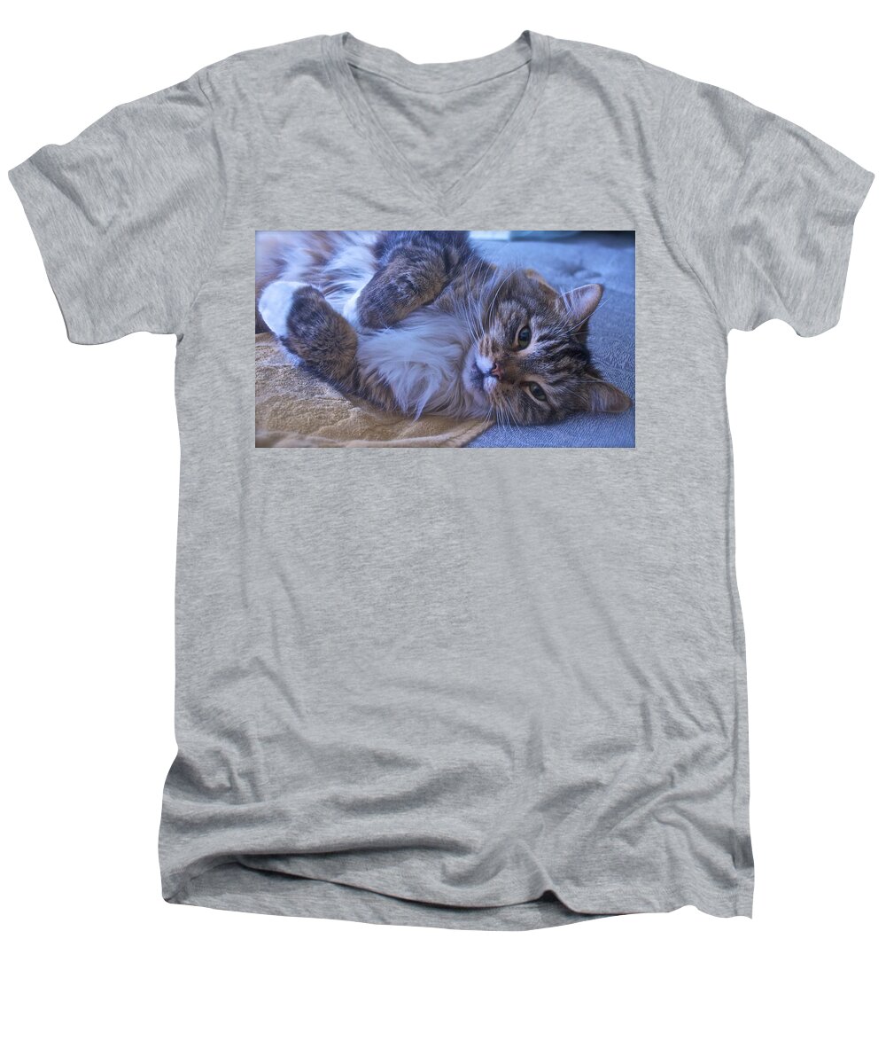 Cat Men's V-Neck T-Shirt featuring the photograph Blue Oblivion by Gwyn Newcombe