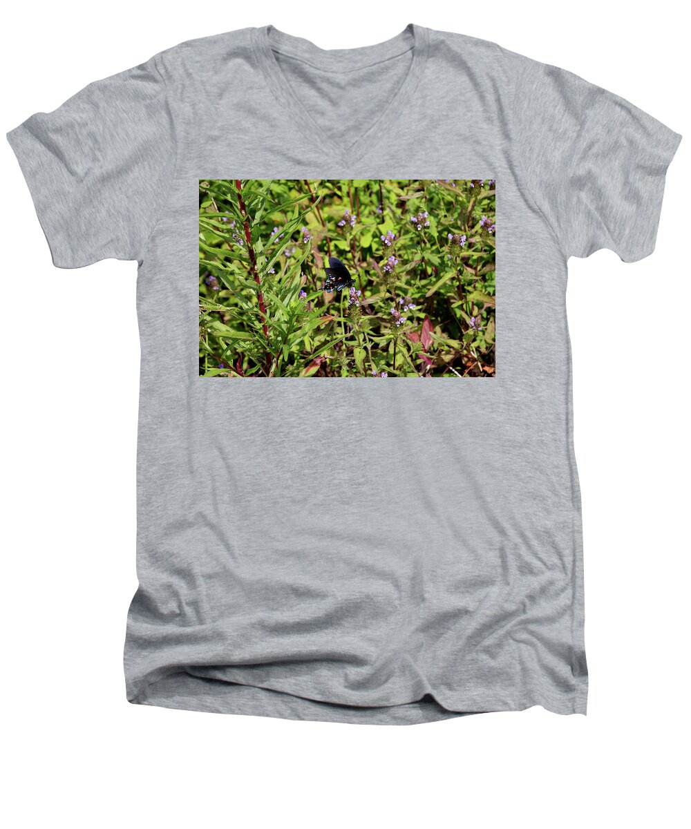 Butterfly Men's V-Neck T-Shirt featuring the photograph Blue Ridge Butterflies 1 by Matt Sexton