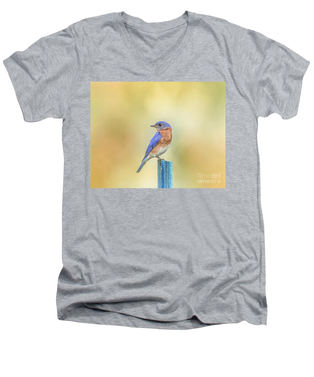 Nature Men's V-Neck T-Shirt featuring the photograph Bluebird On Blue Stick by Robert Frederick