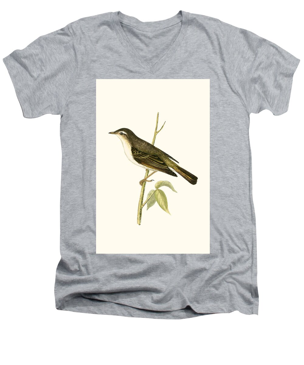 Warbler Men's V-Neck T-Shirt featuring the painting Bonelli's Warbler by English School
