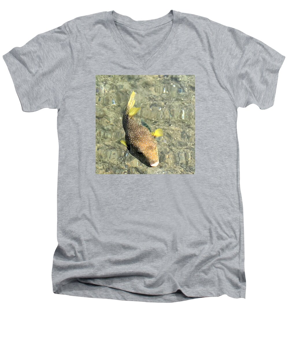 box Fish Men's V-Neck T-Shirt featuring the photograph Box Fish - 2 by Karen Nicholson