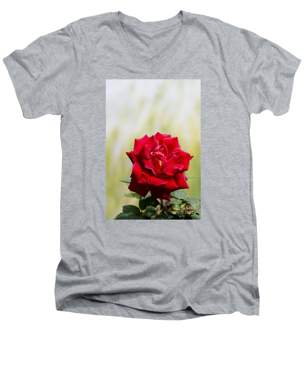 Bright Men's V-Neck T-Shirt featuring the digital art Bright red rose by Perry Van Munster
