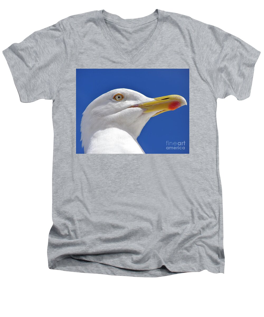 Bird Men's V-Neck T-Shirt featuring the photograph British Herring Gull by Terri Waters