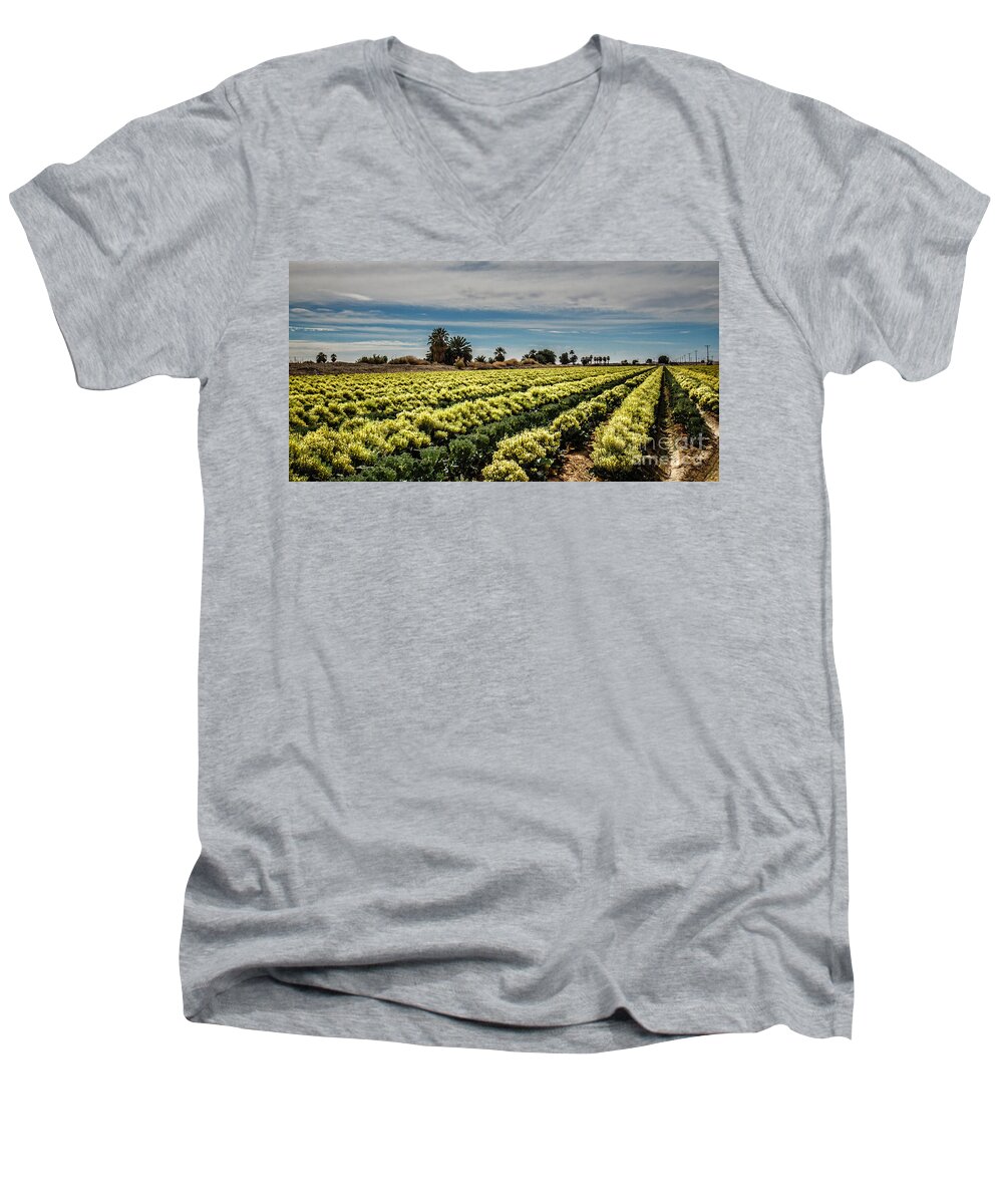 Broccoli Men's V-Neck T-Shirt featuring the photograph Broccoli Seed by Robert Bales