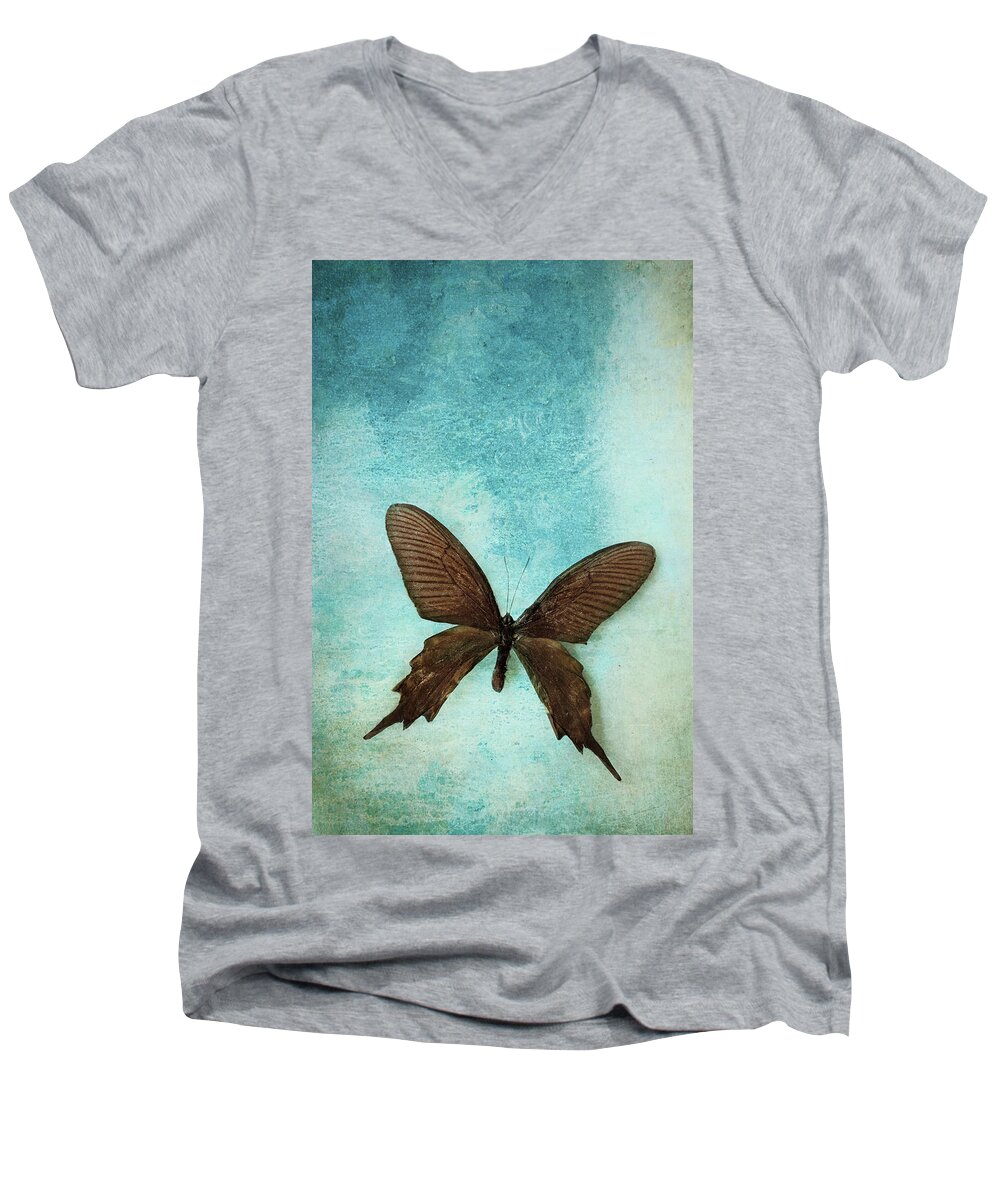 Atrophaneura Aristolochiae Kotzebuea Men's V-Neck T-Shirt featuring the photograph Brown Butterfly over Blue Textured Background by Stephanie Frey