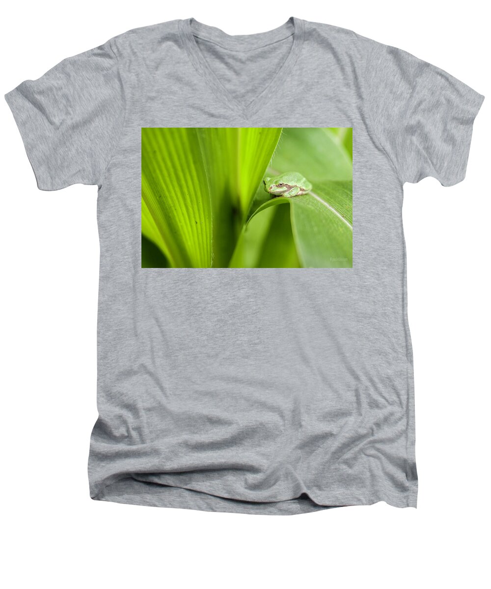  Men's V-Neck T-Shirt featuring the photograph Buddha On Corn Leaf.... by Paul Vitko
