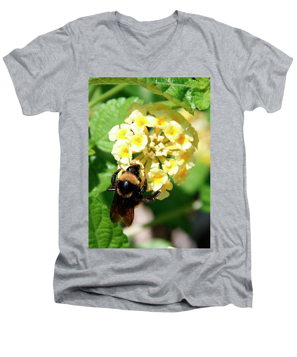 Bee Men's V-Neck T-Shirt featuring the photograph Bumble Bee on Yellow Flowers by George Jones