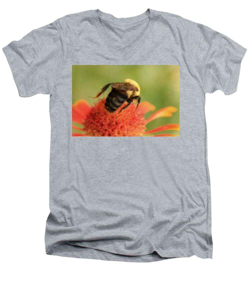 Insect Men's V-Neck T-Shirt featuring the photograph Bumblebee by Chris Berry