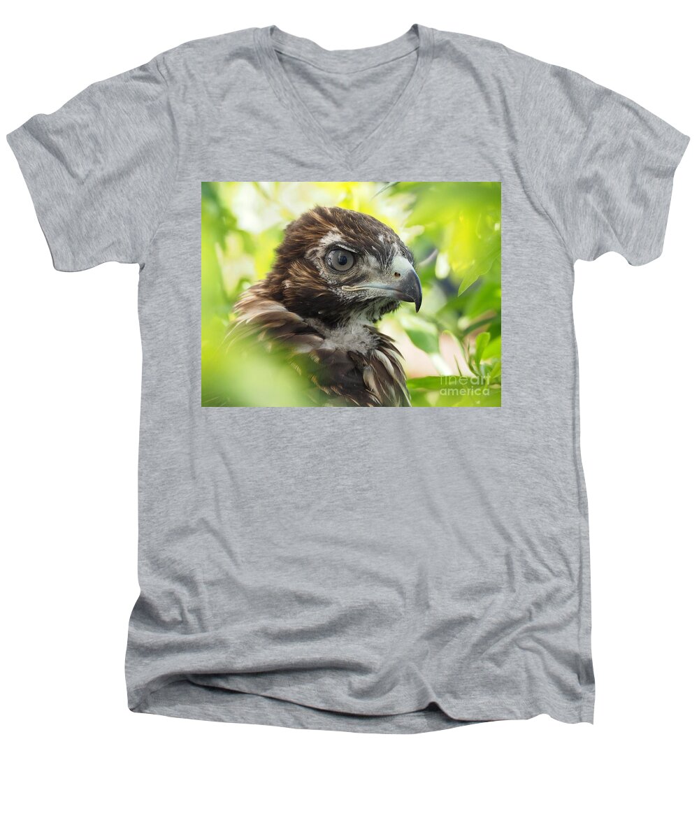 Birds Men's V-Neck T-Shirt featuring the photograph Buteo Jamaicensis by Parrish Todd