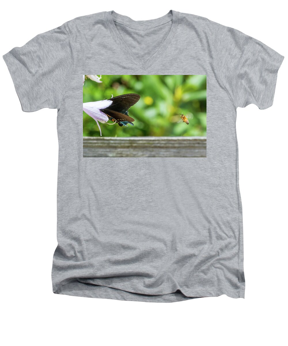 Butterfly Men's V-Neck T-Shirt featuring the photograph Butterfly and Bee by D K Wall